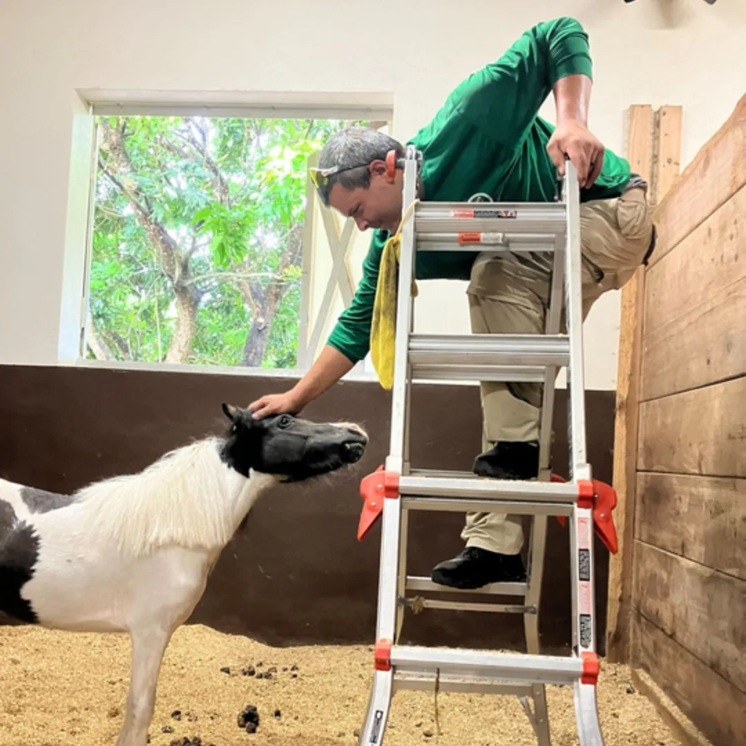 A technician on a ladder with a dog nearby